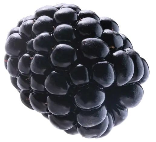 Blackberry