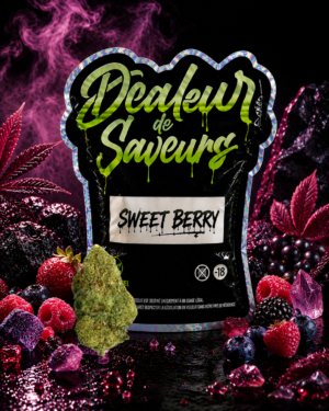 Sweet Berry | Fleur CBD