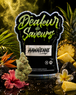 Hawaïenne | Fleur CBD