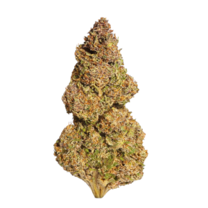 Gum'Z | Fleur CBD Enrichi